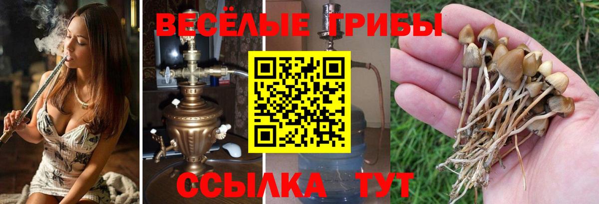 Галлюциногенные грибы ЛСД  Псилоцибиновые грибы GOLDEN TEACHER  Вход с VPN  Ленинск-Кузнецкий 